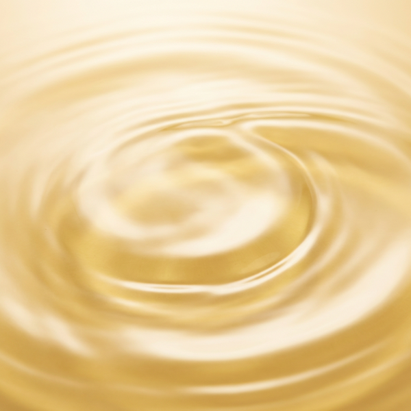 Ylang Ylang Oil